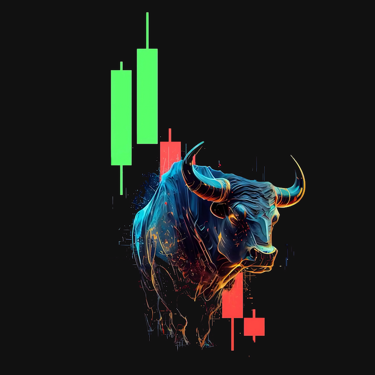 house of traders